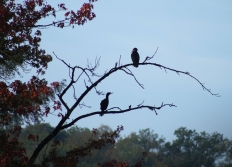 02-Au mois d'octobre