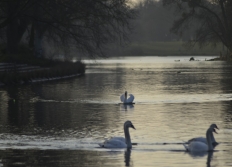 Année 2018 de janvier au mois d'août et début 2019