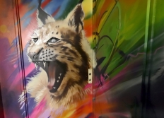 Street-Art Python-Duvernois Paris XXème