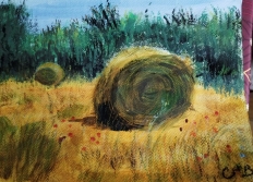 Dessins de Christine