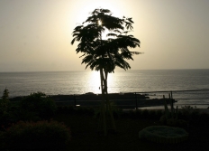 Les Canaries Aout 2007