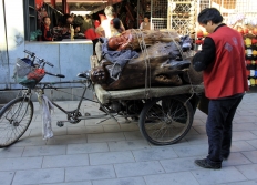 04-Temple-Ciel Quartiers Gare