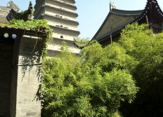 02-Hotel et Petite Pagode Oie sauvage