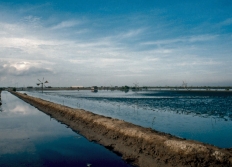 07 - Marché Chieng Mai - Marais salants