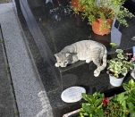 Ze-Sépulture Montparnasse 19