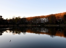 Nature dans Paris et proche banlieue.
