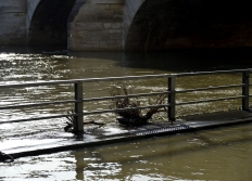 Seine en crue en 2016, 2018, 2021, 2024, 2026.