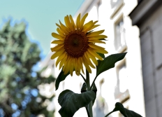 Quartier de Paris 20ème
